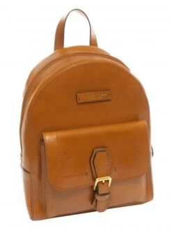 THE BRIDGE GIOVANNA Zaino In Pelle 11 THE BRIDGE GIOVANNA Zaino In Pelle -Borse Sconto the bridge giovanna zaino in pelle cognac oro 8033748524356 4